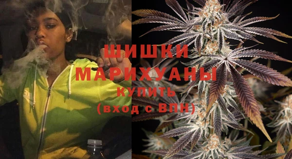 PSILOCYBIN Богородск